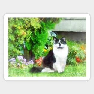 Cats - Black and White Cat by Flowers Sticker